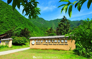 醉山野旅游度假区