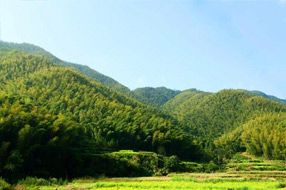 天池竹海