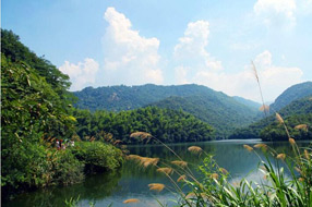 龙池风光